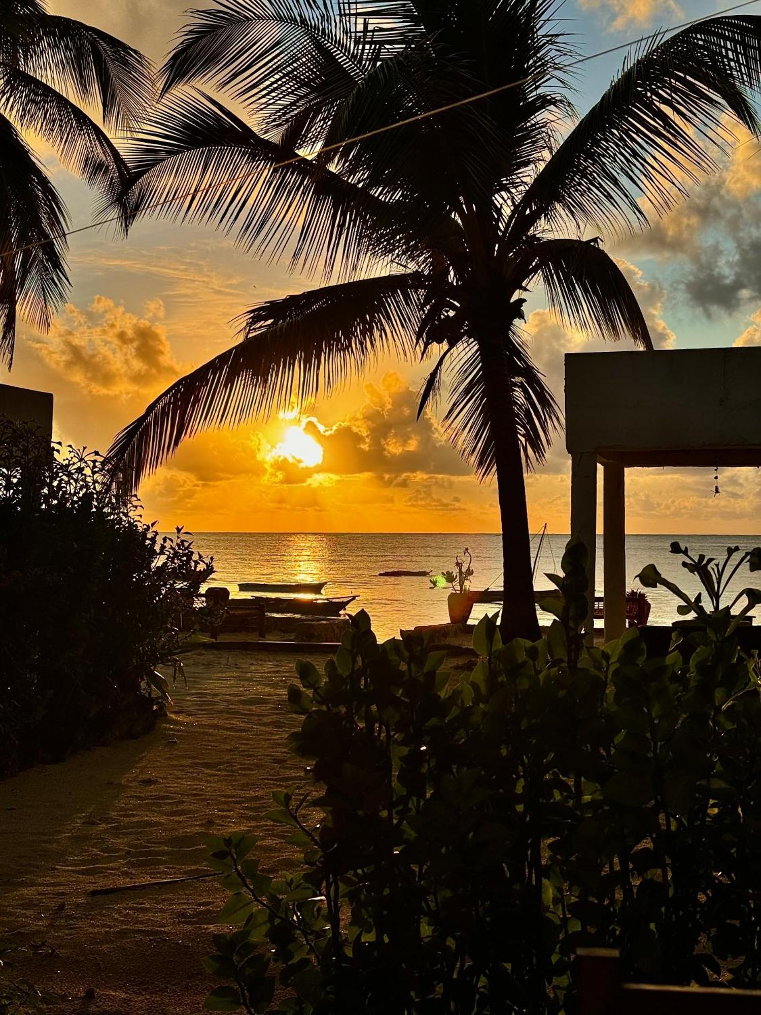 Mango Beach House Jambiani  Buitenkant foto