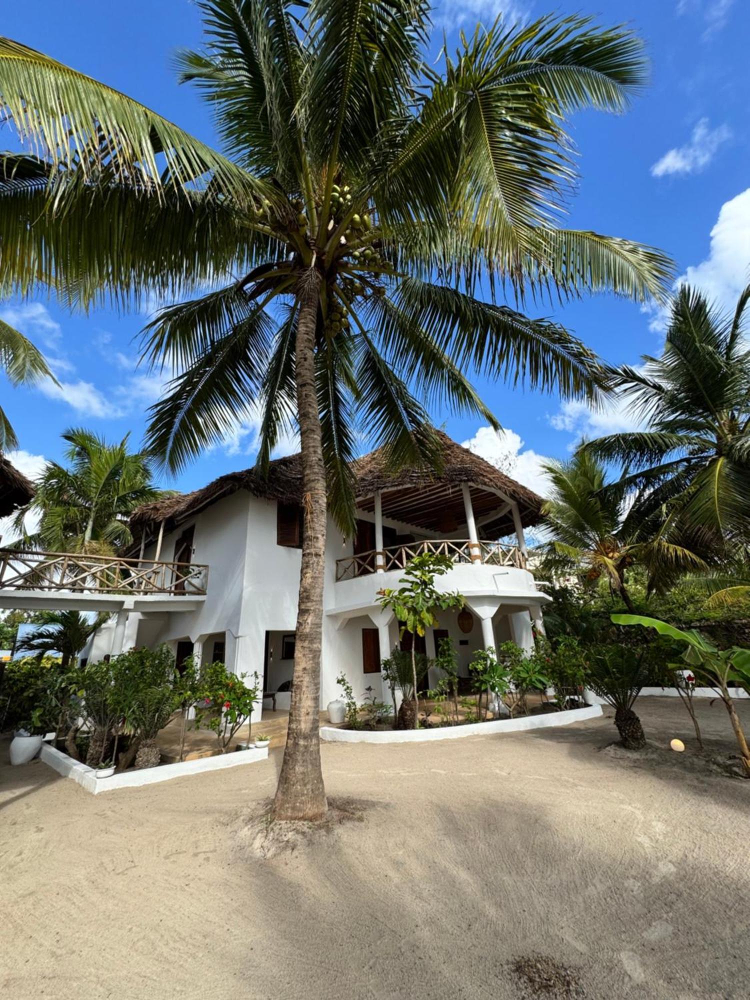 Mango Beach House Jambiani  Buitenkant foto